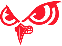 WIAA D1 Sectional - Slinger logo