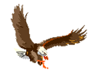 Suring Eagles Invite logo